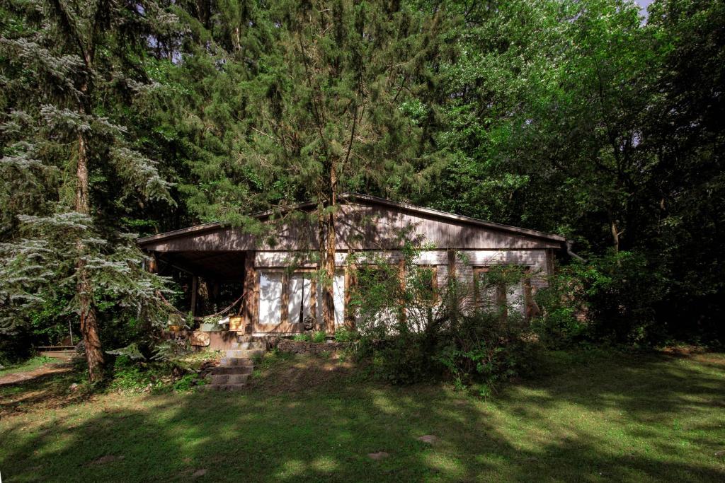 uma pequena cabana no meio de uma floresta em Naphegy vendégház em Zebegény