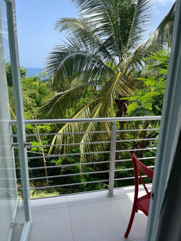 Red Flamboyan Guesthouse and Restaurantにあるバルコニーまたはテラス