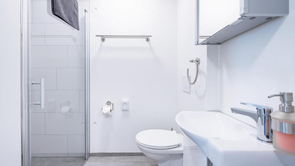 Koupelna v ubytování Anstatthotel Goldau - self-check-in
