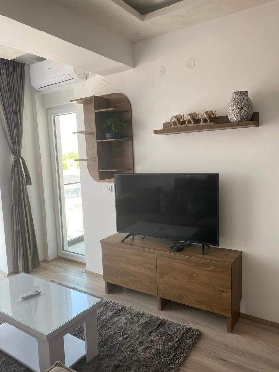 TV a/nebo společenská místnost v ubytování Milojević Apartman