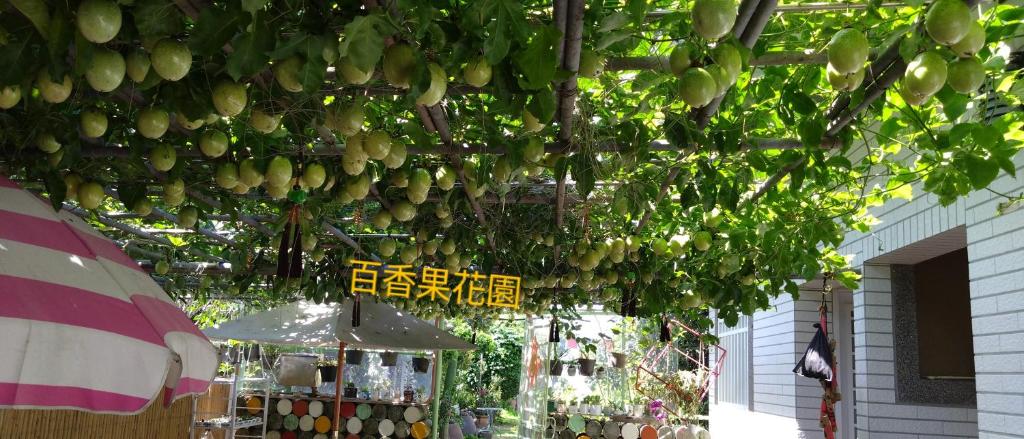 a bunch of fruit hanging from the ceiling of a market at Elegant Stay in Liujiao