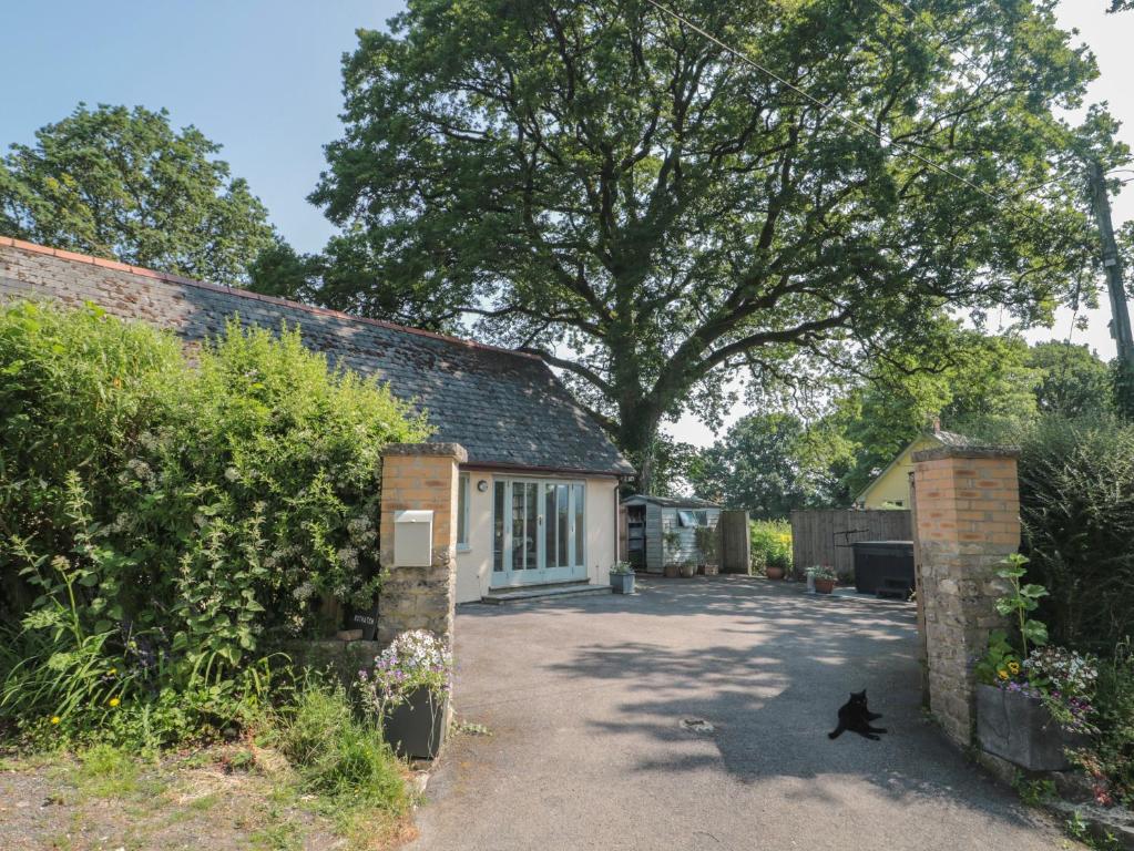 a house with a large tree in the driveway at Nuthatch in Honiton