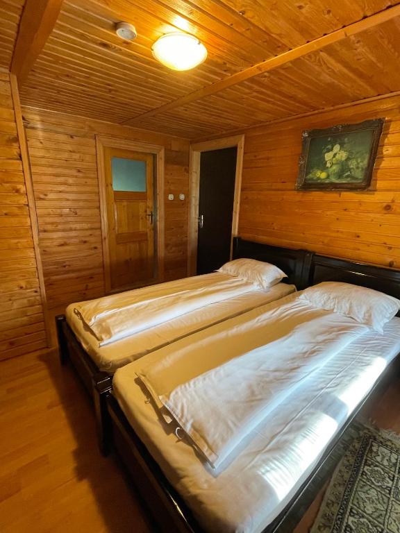Pensiunea Liliana - Twin Room