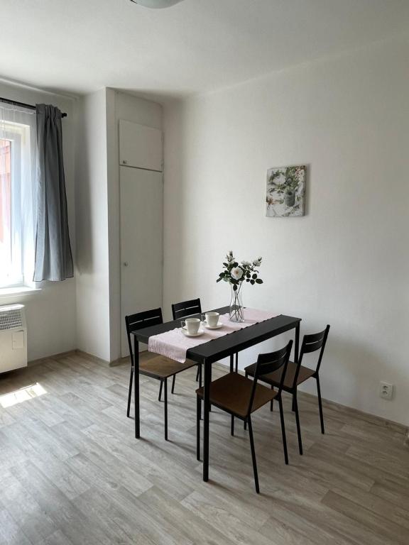 Apartmány Fifejdy, Ostrava, centrum - 9