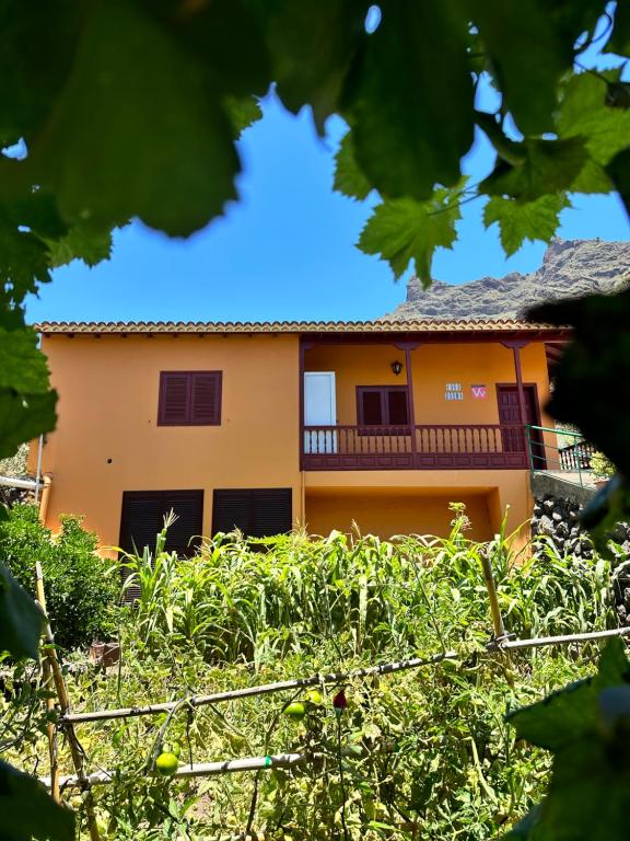 聖塞瓦斯蒂安德拉戈梅拉的住宿－Casa Zaida，一座橘色房子,以植物为背景,位于前沿