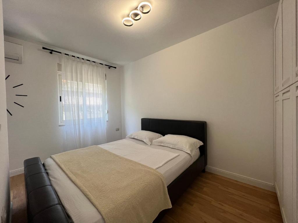 Lana Studio - Imazhi 7