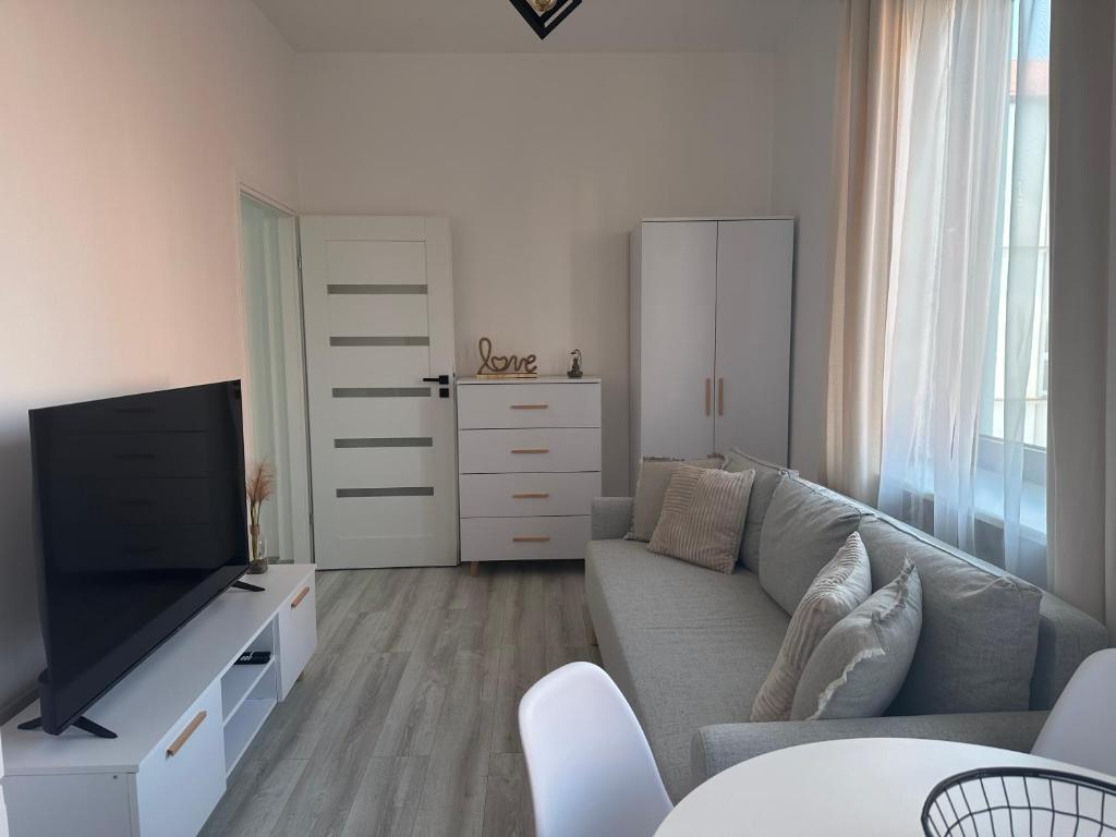 TV a/nebo společenská místnost v ubytování Apartamenty Przy Deptaku