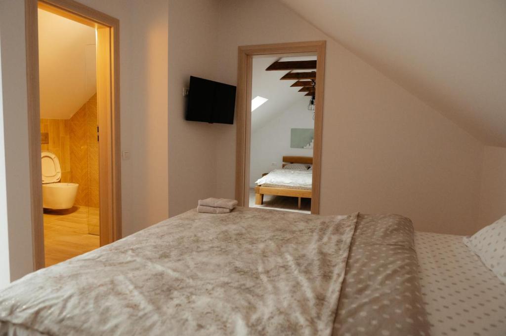 Guest House Zanoaga - Apartamento De Suite