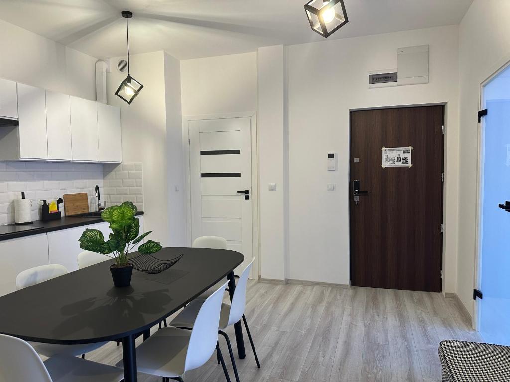 Kuchyň nebo kuchyňský kout v ubytování Apartamenty Przy Deptaku