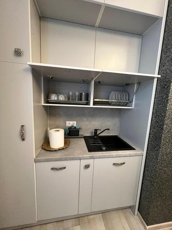 Kuchyň nebo kuchyňský kout v ubytování Avers House