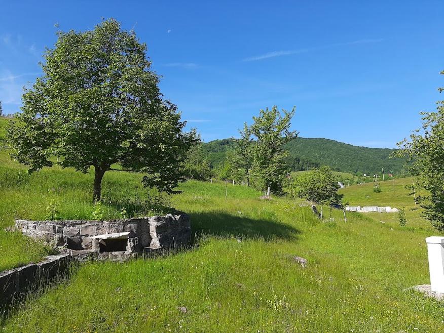 Příroda nedaleko venkovského domu