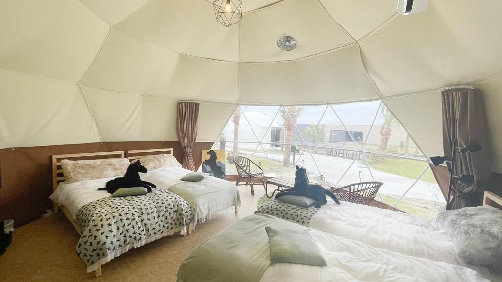 two beds with cats sitting on them in a tent at amazing view room 2 - Vacation STAY 66289v in Kushima