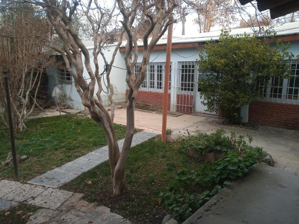 a tree in the yard of a house at Casita de mis viejos in Mendoza