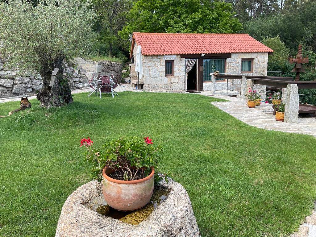 un jardín con una maceta de flores en un patio en Da man da Moura en Ourense