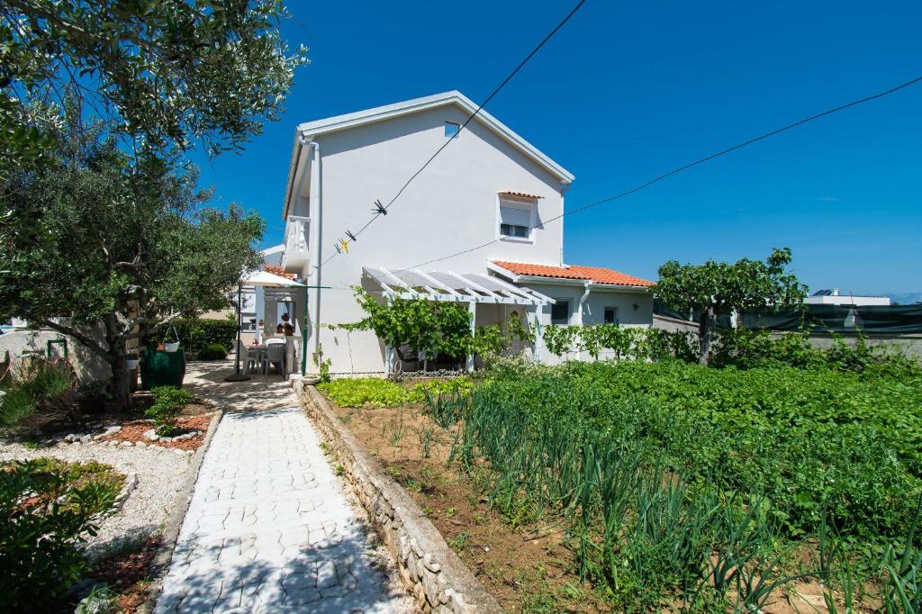Zahrada ubytování Apartment Ivan Vrsi