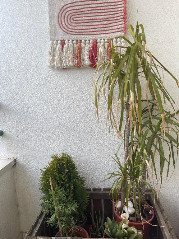 Zahrada ubytování BestHomeStay- Caparica Beach Lisbon