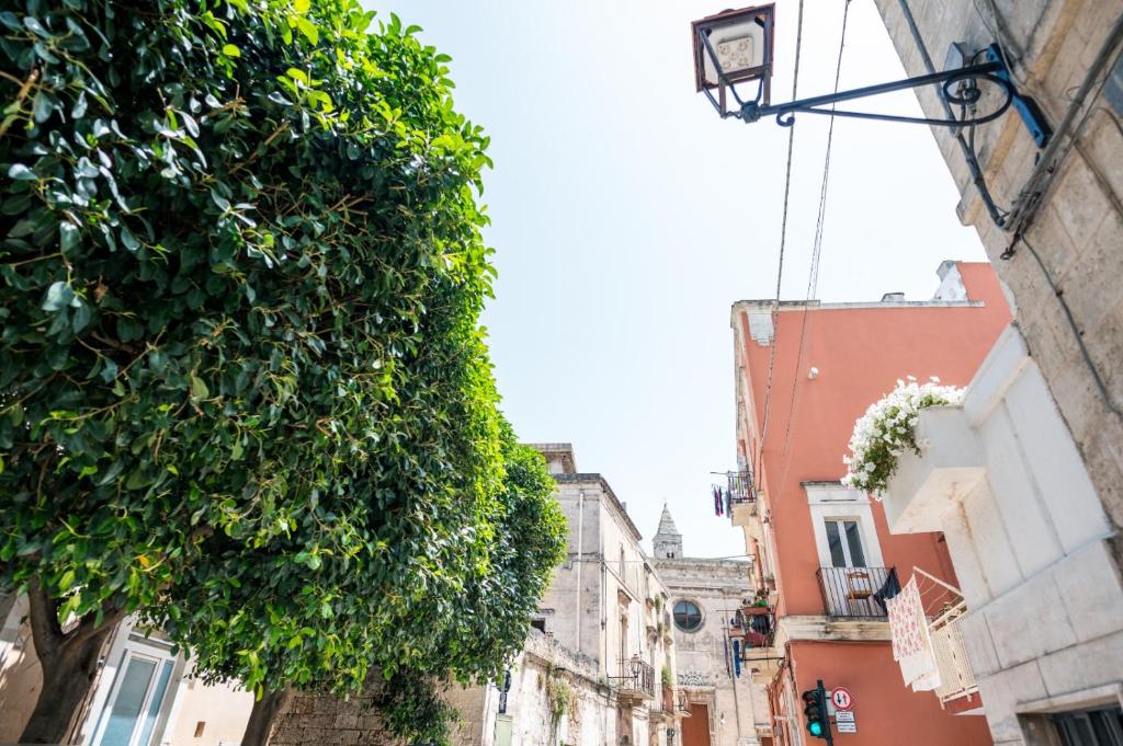 Fotografie z fotogalerie ubytování Il Borgo Antico B & B v destinaci Capurso