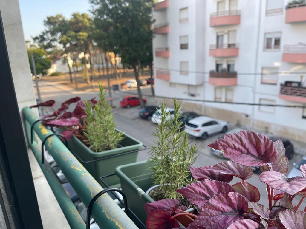 Balkón nebo terasa v ubytování BestHomeStay- Caparica Beach Lisbon