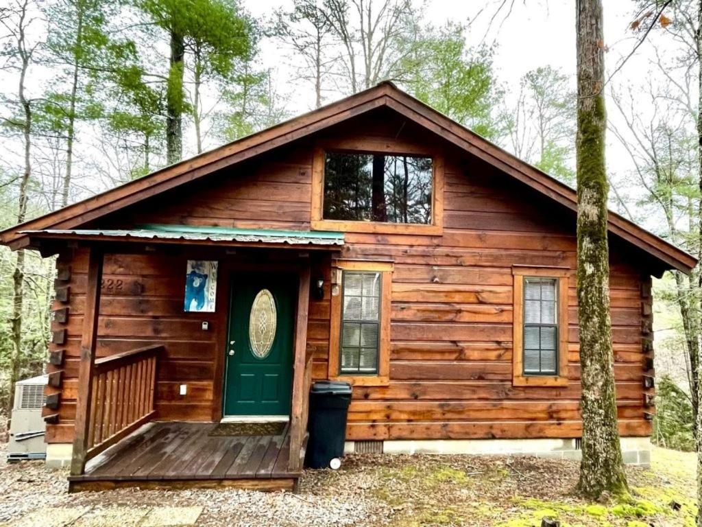 una cabaña en el bosque con una puerta verde en Crazy Bear - Motorcycle Friendly Home with Hot Tub and Grill, en Tellico Plains