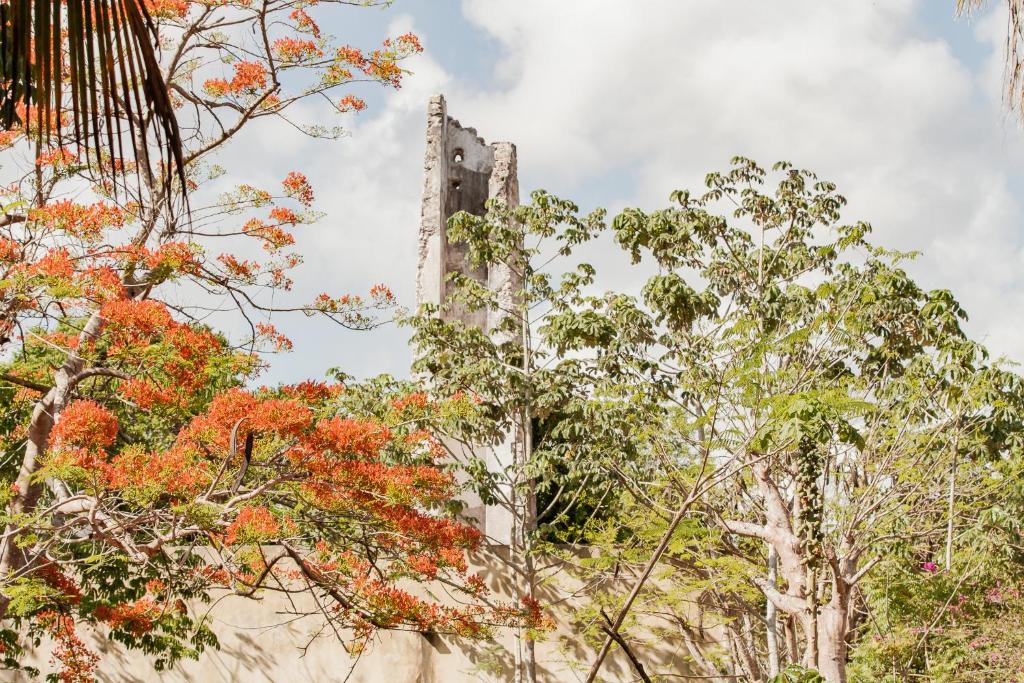 Hacienda Shambalante