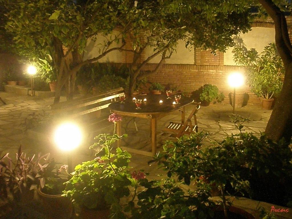 Zahrada ubytování Anesis Hotel