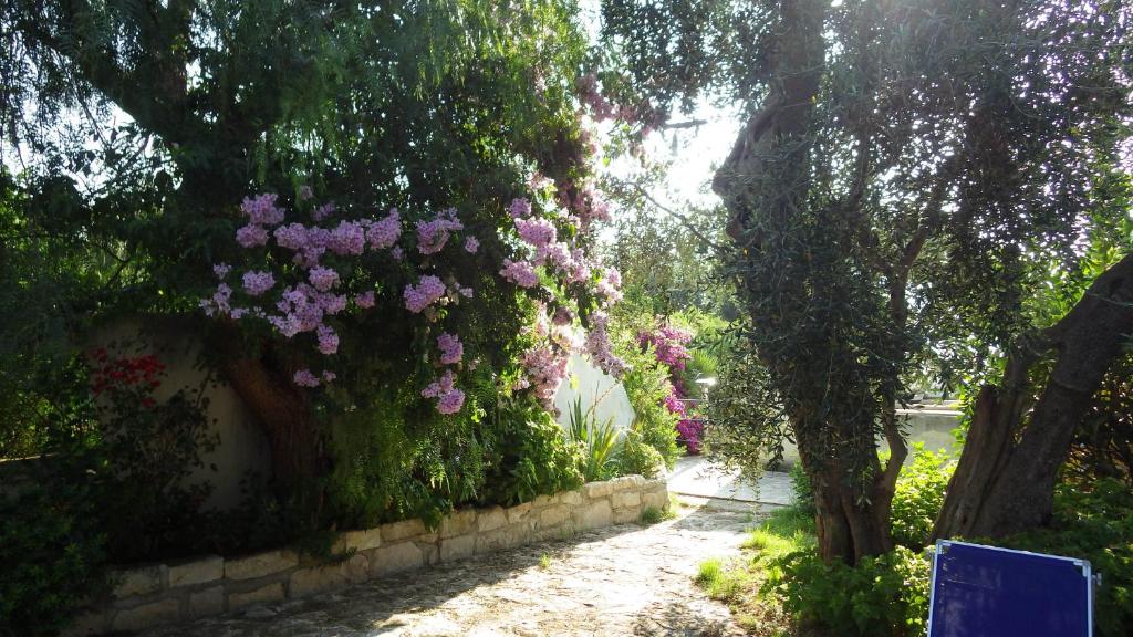 Zahrada ubytování B&B Masseria Liberatore