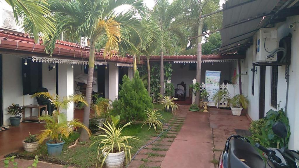 un patio de un edificio con palmeras y plantas en UPPUVELI BEACH HOUSE, en Trincomalee