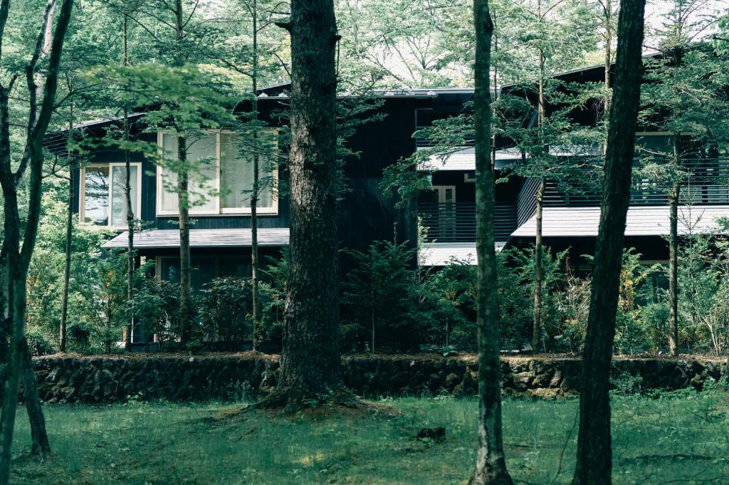 una casa in mezzo a una foresta di alberi di SHISHI-IWA-HOUSE Karuizawa a Karuizawa