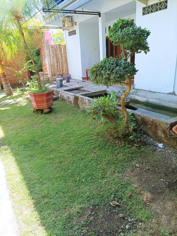 Zahrada ubytování Merendeng Hostel Kuta