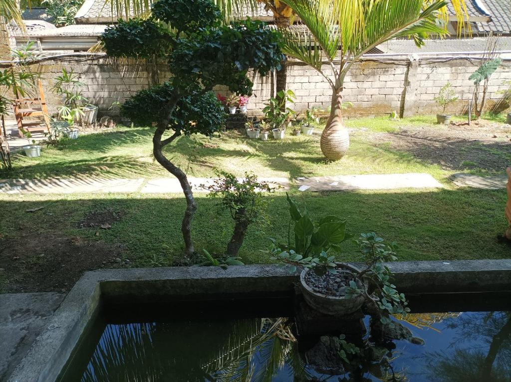 Zahrada ubytování Merendeng Hostel Kuta