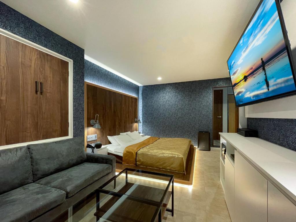 TV a/nebo společenská místnost v ubytování Hotel ZALA