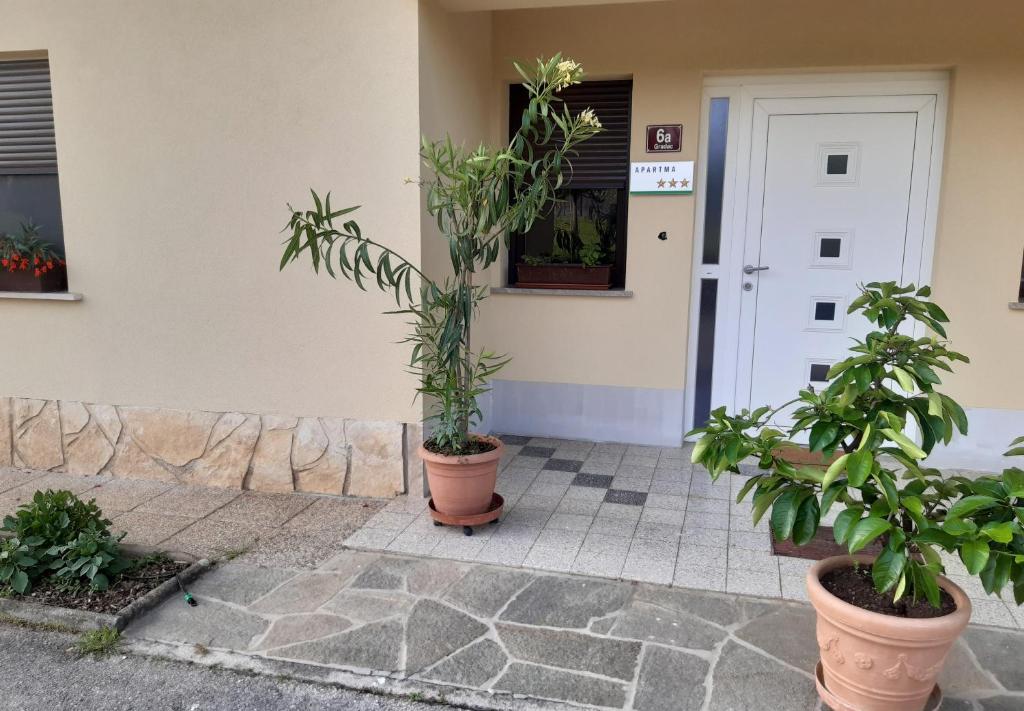 Apartma Kolpa - Vakantiehuis