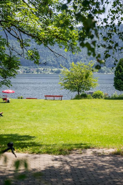 Príroda v okolí apartmánu
