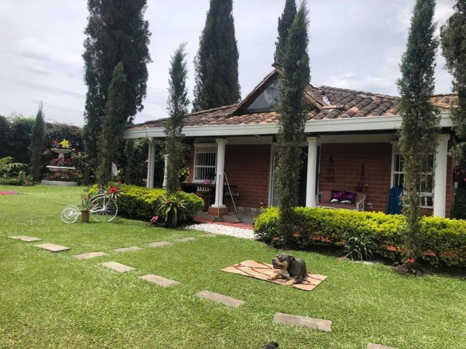 a dog laying on a blanket in front of a house at Linda cabaña con el mejor clima in Rionegro