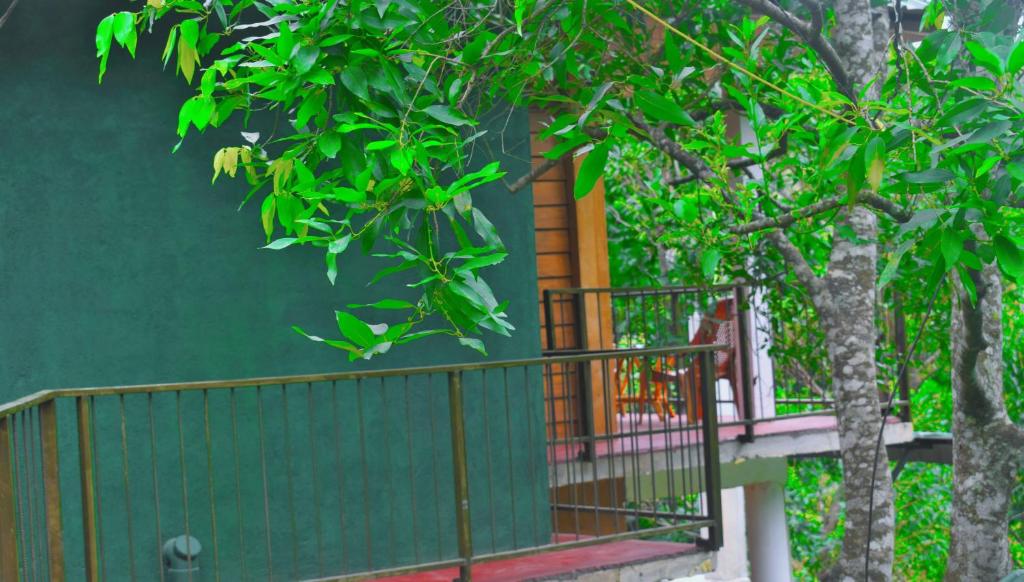 Balkón nebo terasa v ubytování Green cottage Ella