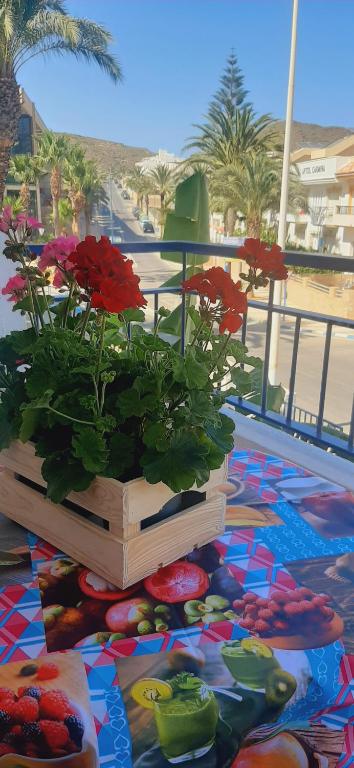 een tafel met een potplant op het balkon bij Carboneras, la Mar Divina in Carboneras