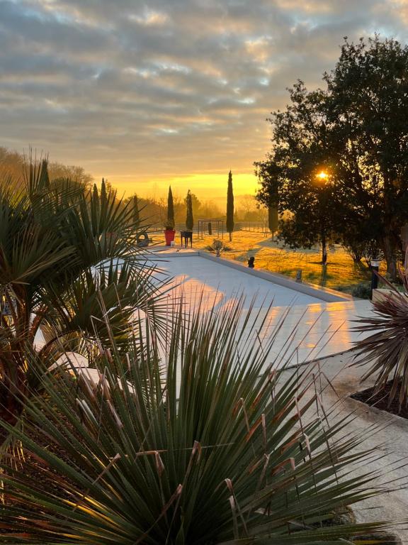 un coucher de soleil dans un parc planté d'arbres et de plantes dans l'établissement Le nid des coeuilles, à Carignan