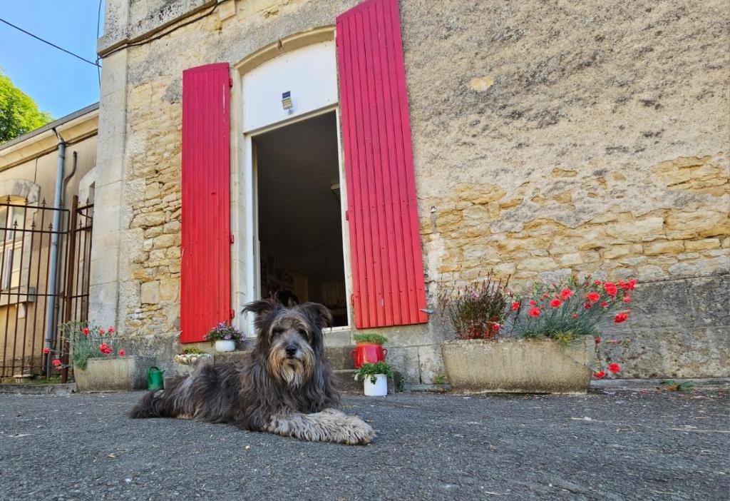 a dog laying in front of a building with red doors at Thunder Roadhouse in La Mothe-Saint-Héray