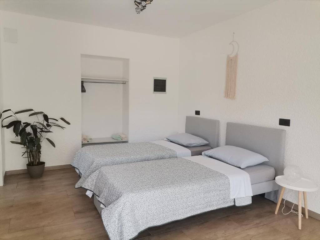 2 Betten in einem weißen Zimmer mit Topfpflanze in der Unterkunft Studio Luna in Bale