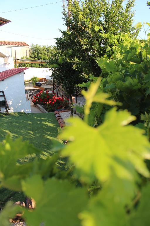 Fotografie z fotogalerie ubytování Cozy Village House v destinaci Ora