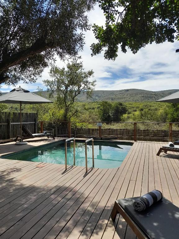 Bazén v ubytování Barefoot Addo Elephant Lodge nebo v jeho okolí