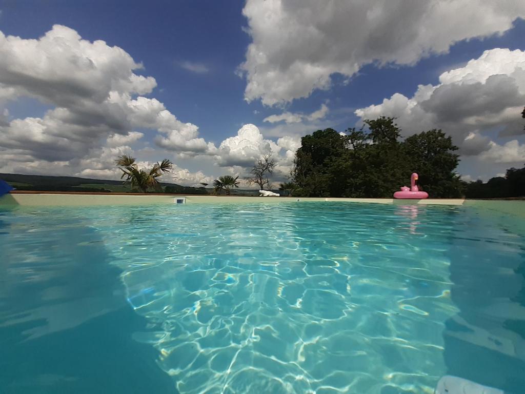 una piscina con un objeto rosa en el agua en CHAMBRES D'HOTES DANS DOMAINE DE CHARME A EPERNAY en Mardeuil