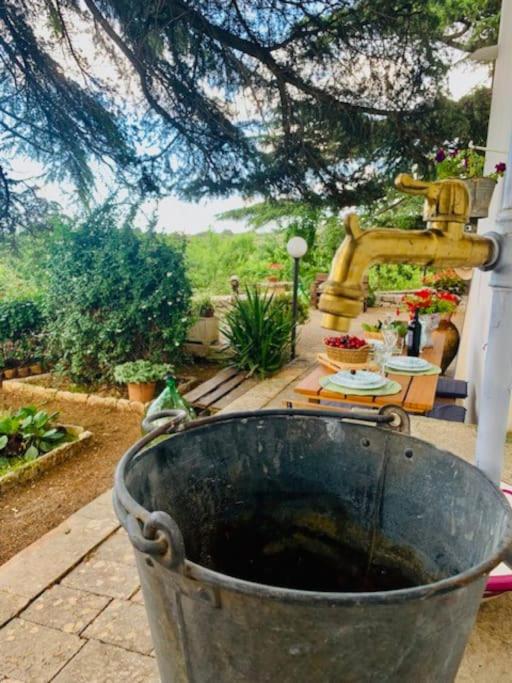 Zahrada ubytování Casina foggia dell'albero