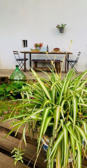 Zahrada ubytování Casina foggia dell'albero