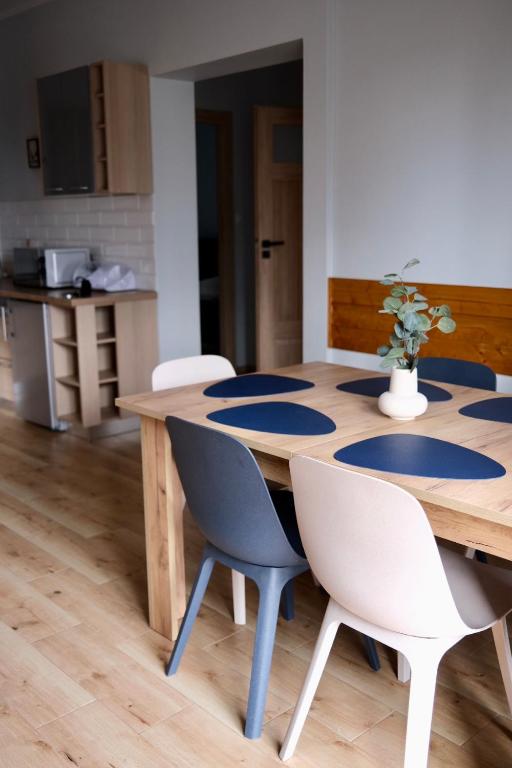 Kuchyňa alebo kuchynka v ubytovaní Pająkówka Apartament I