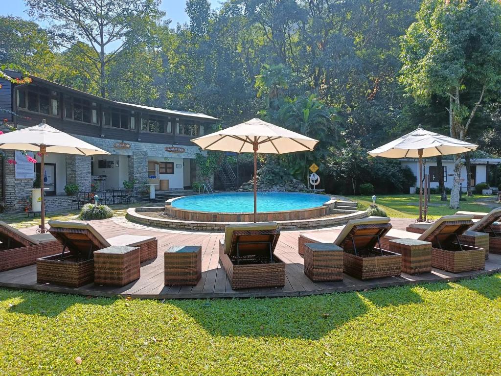 Hồ bơi trong/gần Fish Tail Lodge