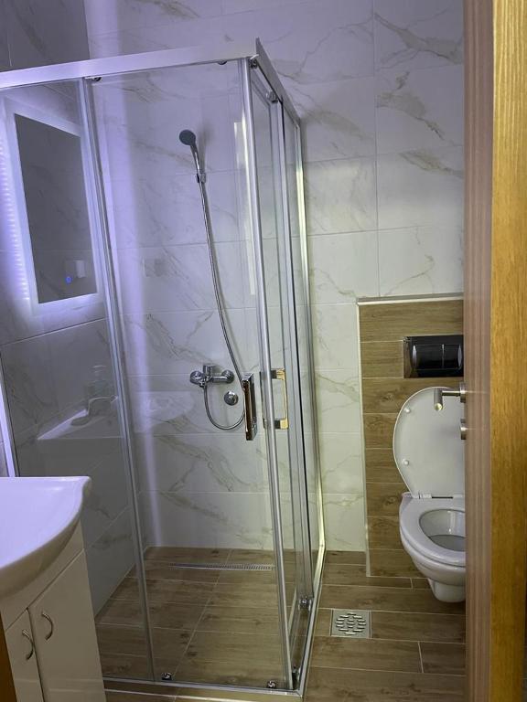 Koupelna v ubytování Apartman Splendid