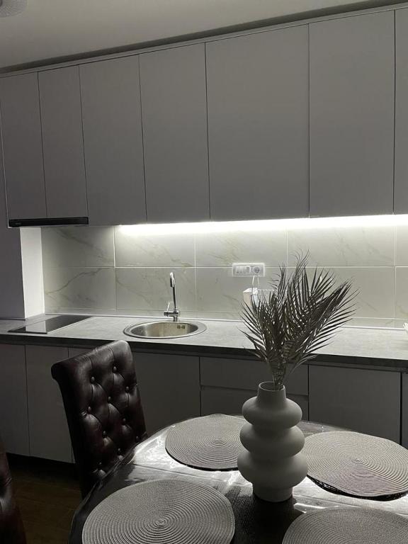 Kuchyň nebo kuchyňský kout v ubytování Apartman Splendid