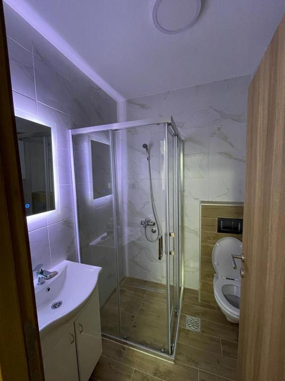 Koupelna v ubytování Apartman Splendid