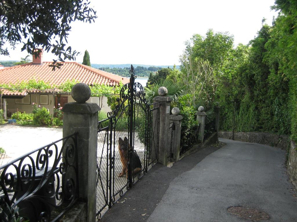 a dog sitting at the gate of a house at Apartma Janja in Portorož